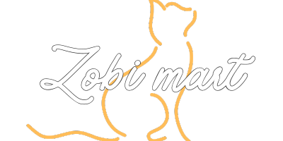 Zobi Mart LLC