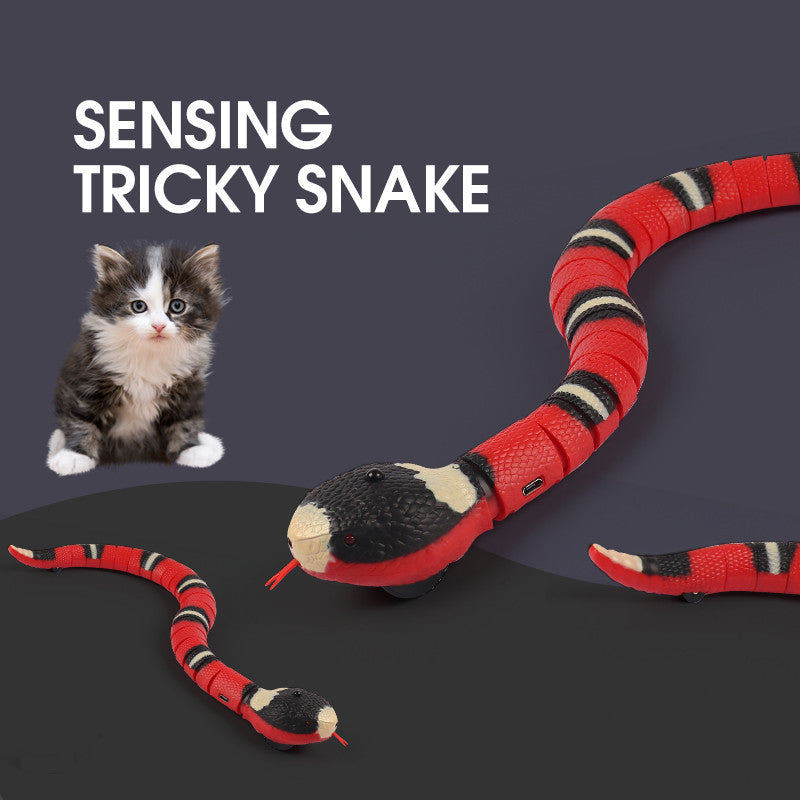 Automatic Eletronic Snake Cat Teasering Play USB Rechargeable Kitten Toys For Cats Dogs Pet